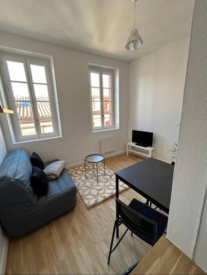 Le studio Cygne Blanc hypercentre rue Riquet